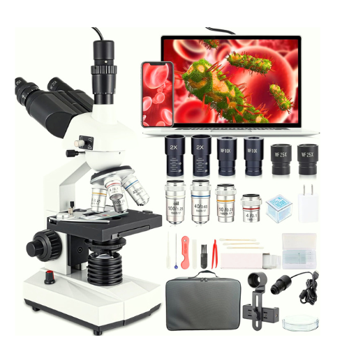scanning electron microscope